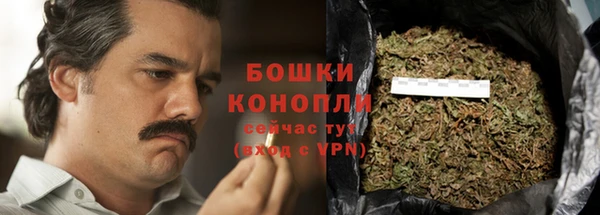 молекула духа Магадан