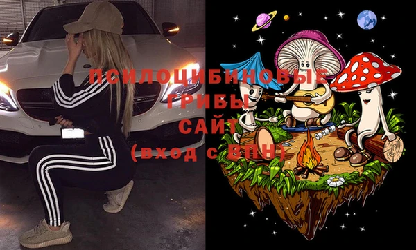 экстази Бежецк