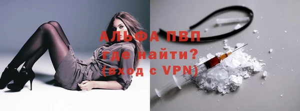 молекула духа Магадан