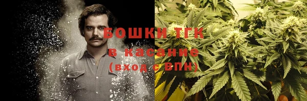 молекула духа Магадан