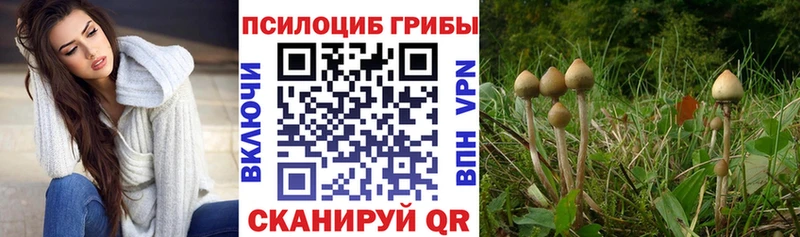 Галлюциногенные грибы Magic Shrooms  Сураж 
